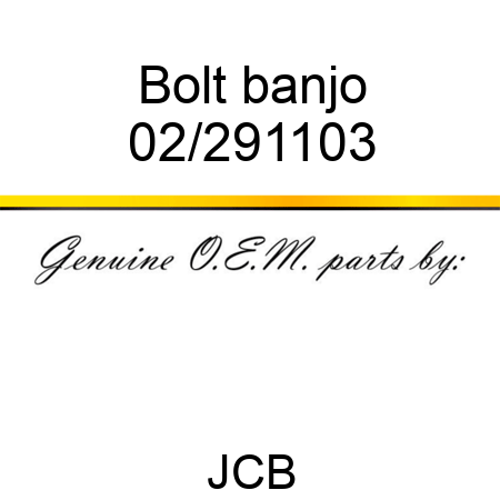 Bolt, banjo 02/291103