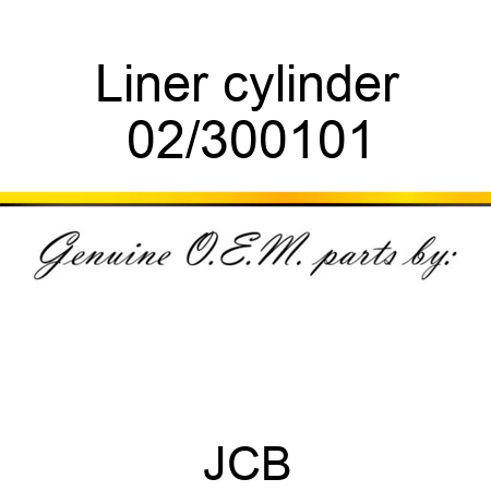 Liner, cylinder 02/300101