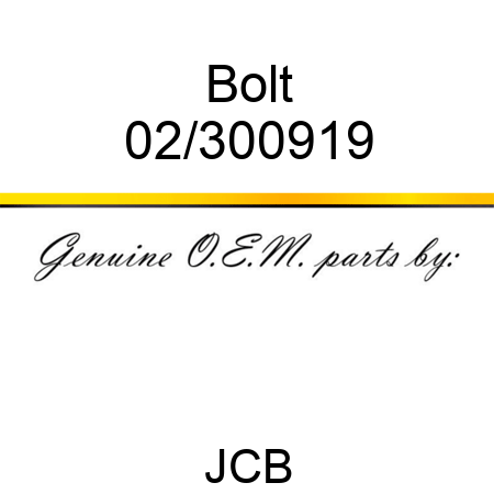 Bolt 02/300919