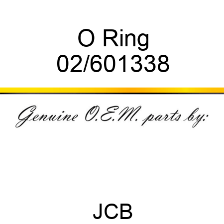 O Ring 02/601338