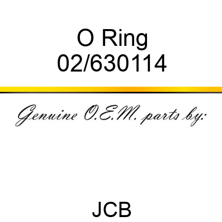 O Ring 02/630114