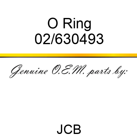 O Ring 02/630493