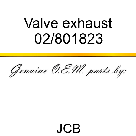 Valve, exhaust 02/801823