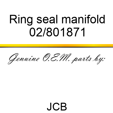 Ring, seal manifold 02/801871