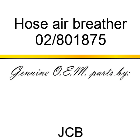 Hose, air breather 02/801875