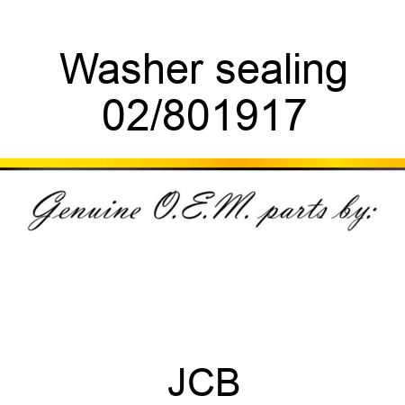 Washer, sealing 02/801917