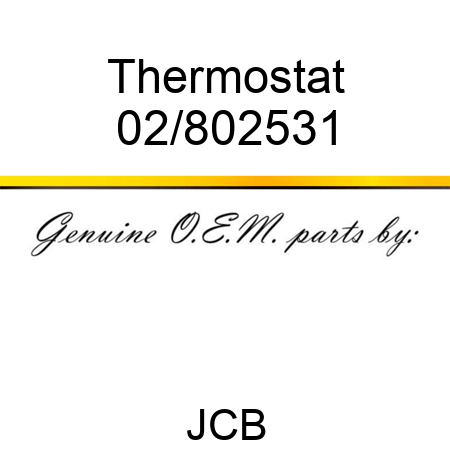 Thermostat 02/802531
