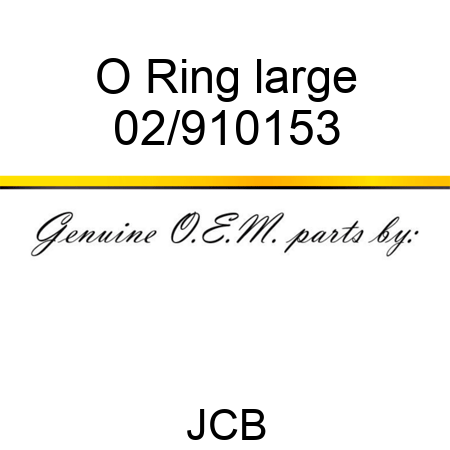O Ring, large 02/910153