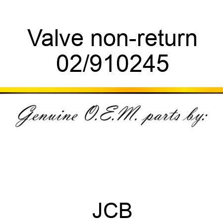 Valve, non-return 02/910245
