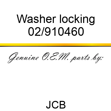 Washer locking 02/910460