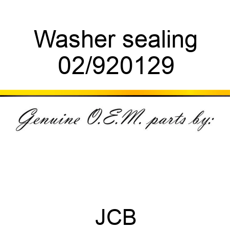 Washer, sealing 02/920129