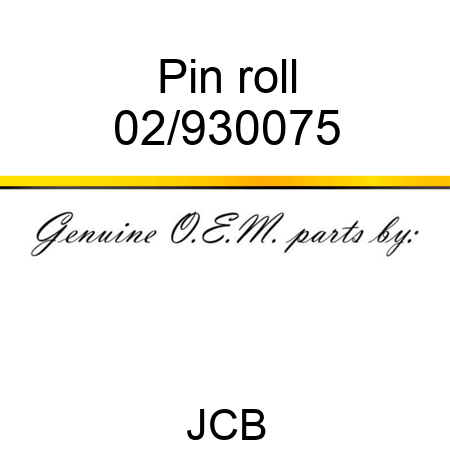 Pin, roll 02/930075