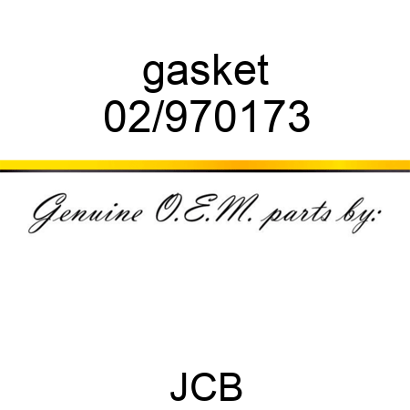 gasket 02/970173