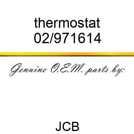 thermostat 02/971614