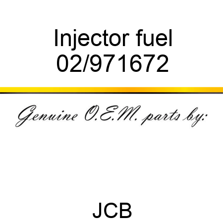 Injector, fuel 02/971672