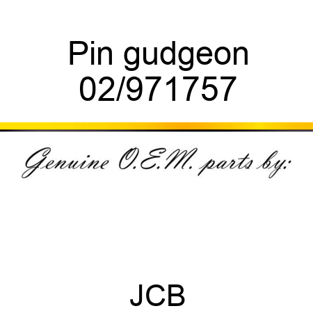 Pin, gudgeon 02/971757