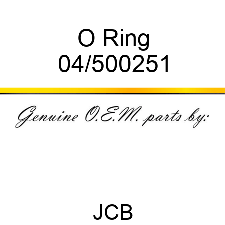 O Ring 04/500251