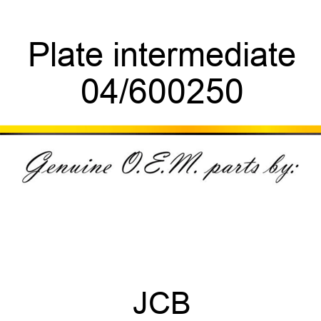 Plate, intermediate 04/600250