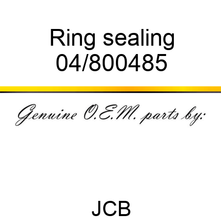 Ring, sealing 04/800485