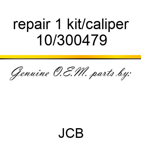 repair, 1 kit/caliper 10/300479