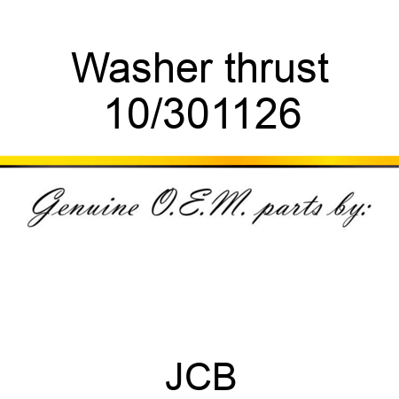 Washer, thrust 10/301126