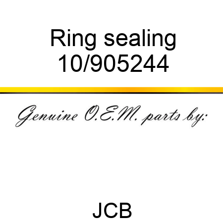 Ring, sealing 10/905244