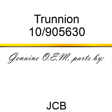 Trunnion 10/905630