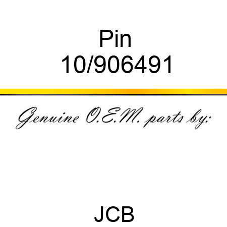 Pin 10/906491