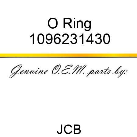 O Ring 1096231430