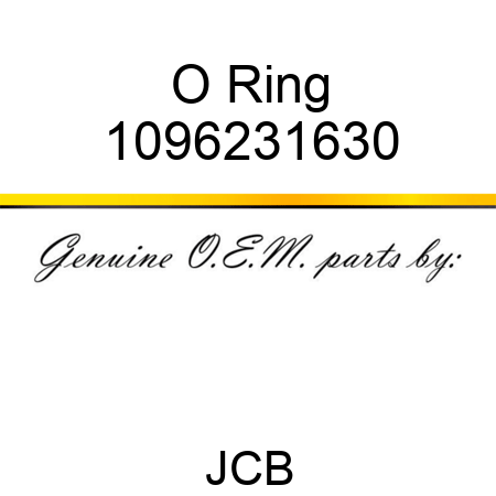 O Ring 1096231630