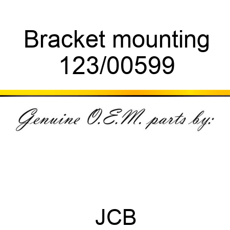 Bracket, mounting 123/00599