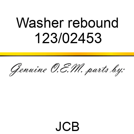 Washer, rebound 123/02453