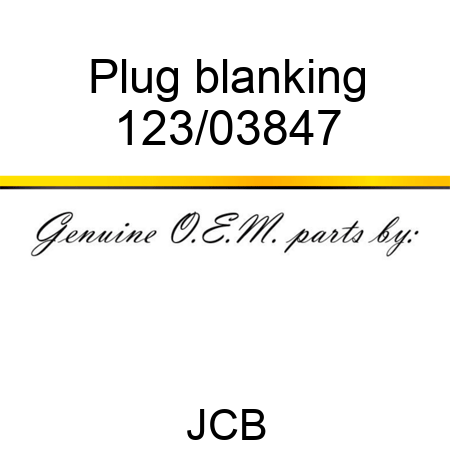 Plug, blanking 123/03847