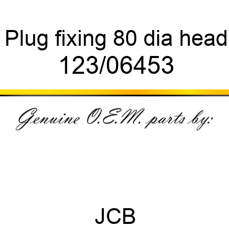Plug, fixing, 80 dia head 123/06453