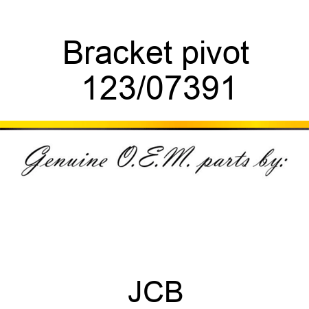 Bracket, pivot 123/07391