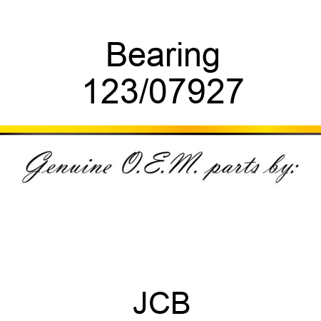 Bearing 123/07927