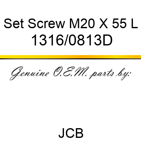 Set Screw M20 X 55 L 1316/0813D