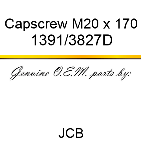 Capscrew, M20 x 170 1391/3827D
