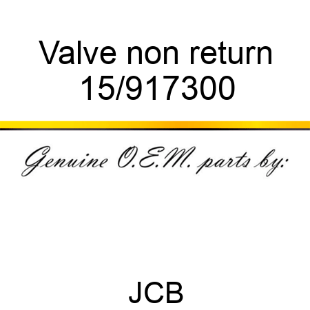 Valve, non return 15/917300