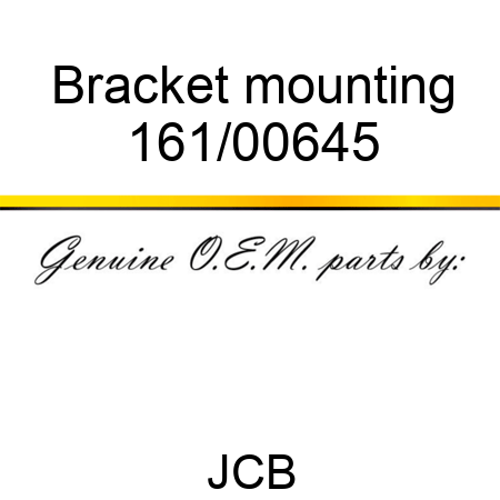 Bracket, mounting 161/00645