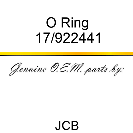 O Ring 17/922441