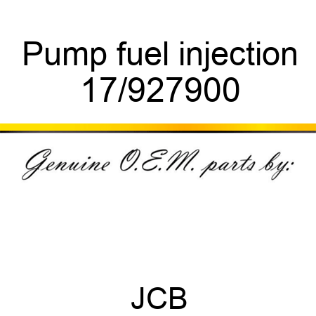 Pump, fuel injection 17/927900