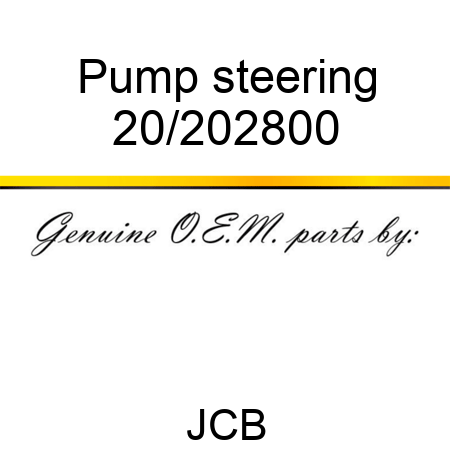 Pump, steering 20/202800