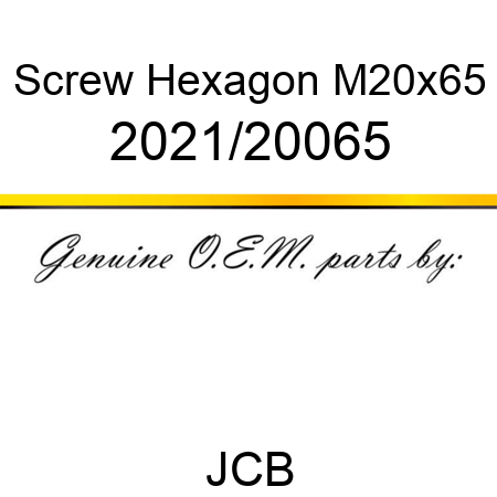 Screw, Hexagon M20x65 2021/20065