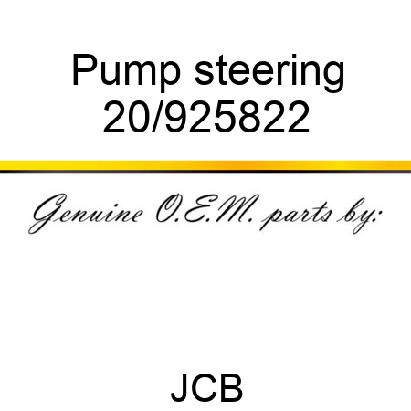 Pump, steering 20/925822