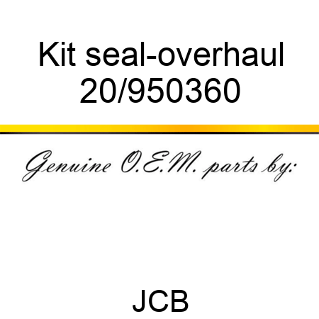 Kit, seal-overhaul 20/950360