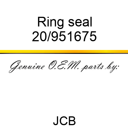 Ring, seal 20/951675