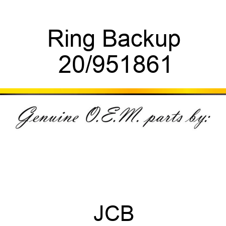 Ring, Backup 20/951861