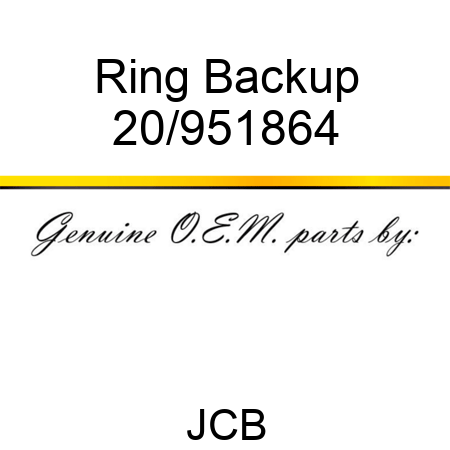 Ring, Backup 20/951864