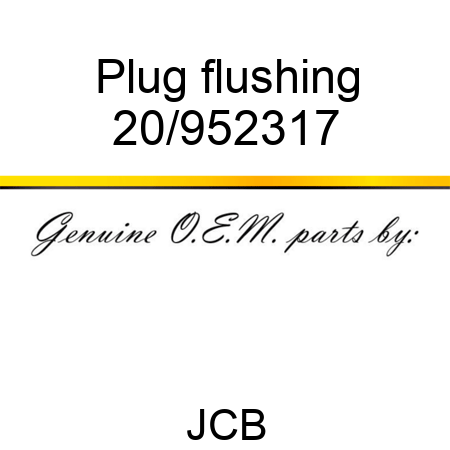 Plug, flushing 20/952317